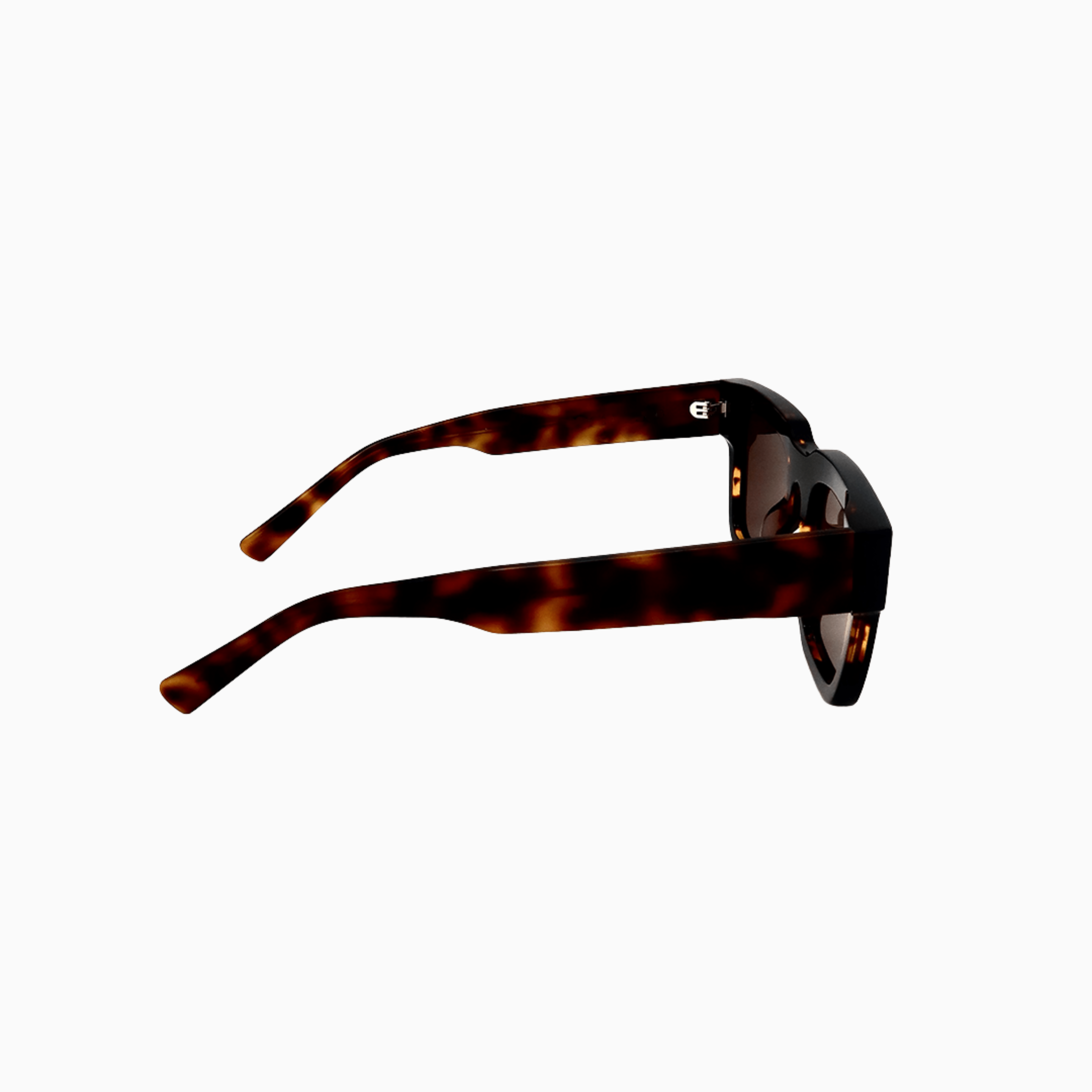 Southwark - Tortoise